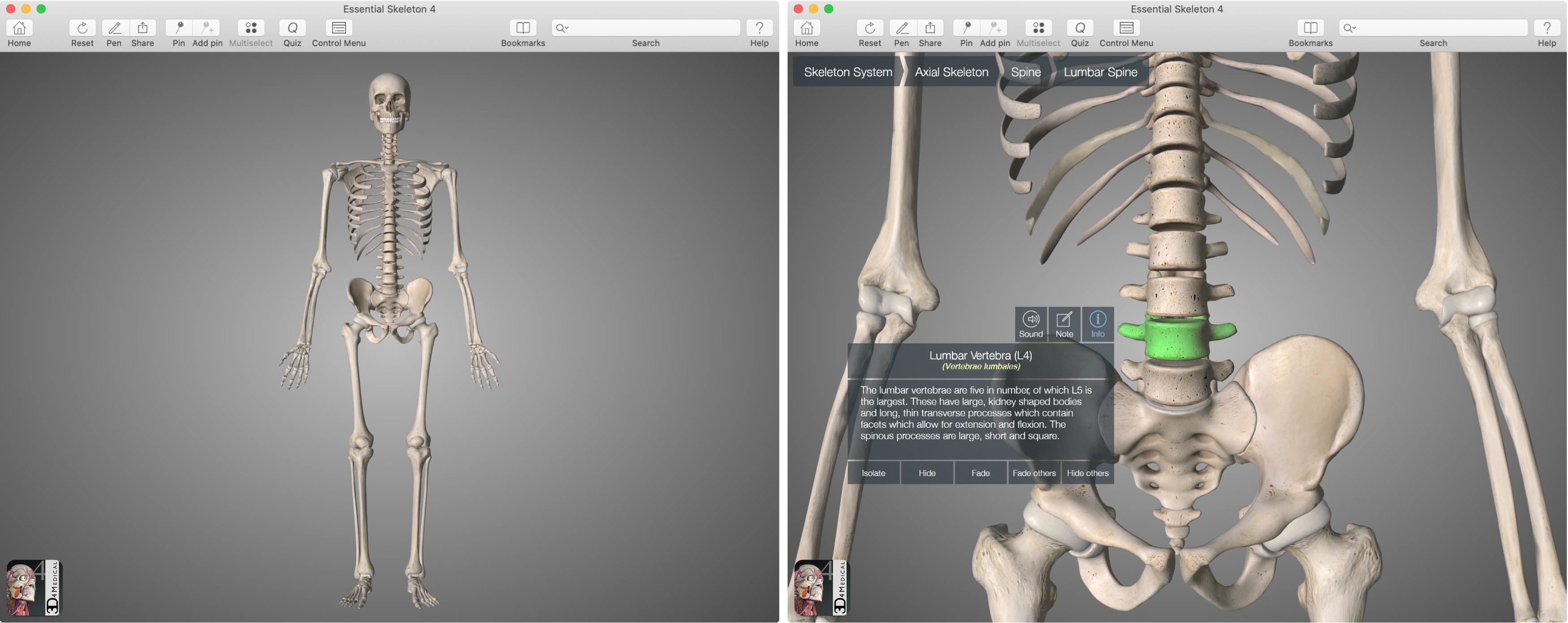anatomy app for mac